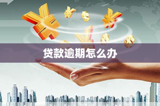 通山贷款逾期怎么办