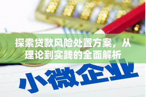 通山探索贷款风险处置方案，从理论到实践的全面解析