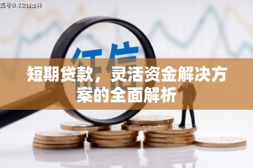 通山短期贷款，灵活资金解决方案的全面解析