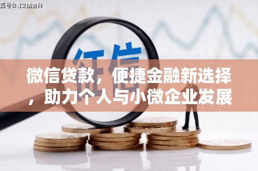 通山微信贷款，便捷金融新选择，助力个人与小微企业发展