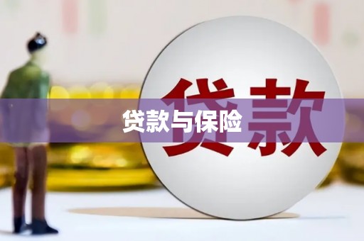 通山贷款与保险