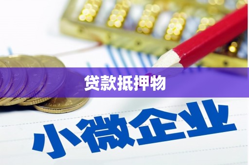 通山贷款抵押物