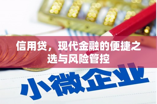 通山信用贷，现代金融的便捷之选与风险管控