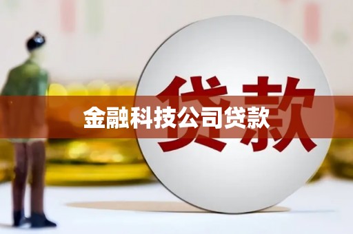 通山金融科技公司贷款