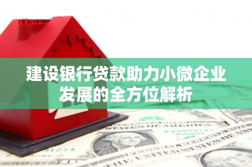 通山建设银行贷款助力小微企业发展的全方位解析