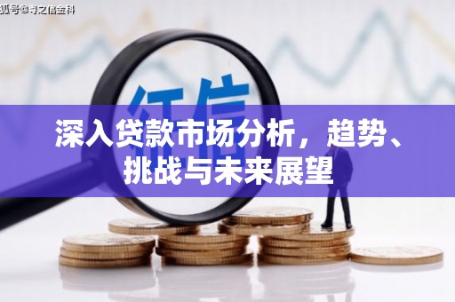通山深入贷款市场分析，趋势、挑战与未来展望
