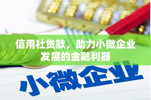 通山信用社贷款，助力小微企业发展的金融利器