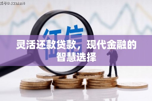 通山灵活还款贷款，现代金融的智慧选择