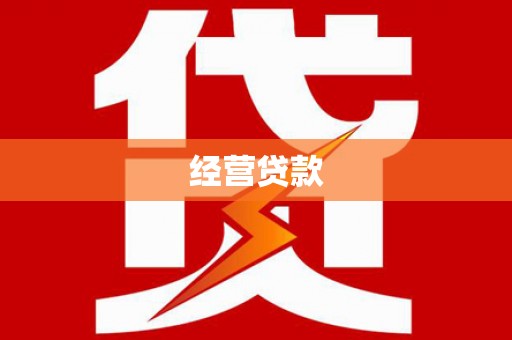 通山经营贷款
