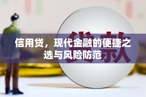 通山信用贷，现代金融的便捷之选与风险防范