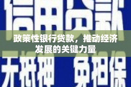 通山政策性银行贷款，推动经济发展的关键力量