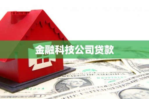 通山金融科技公司贷款