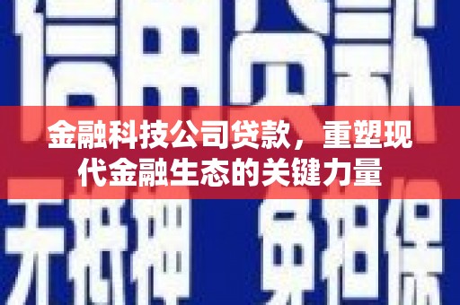 通山金融科技公司贷款，重塑现代金融生态的关键力量