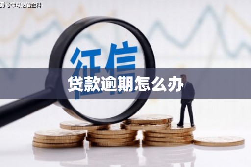 通山贷款逾期怎么办