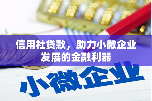 通山信用社贷款，助力小微企业发展的金融利器