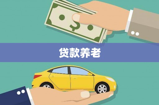 通山贷款养老
