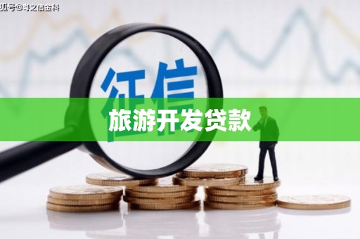 通山旅游开发贷款