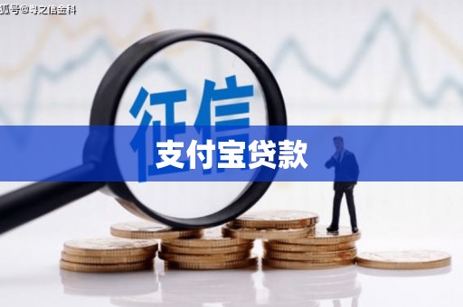 通山支付宝贷款