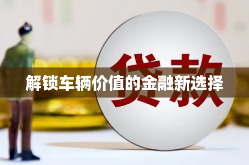 通山解锁车辆价值的金融新选择