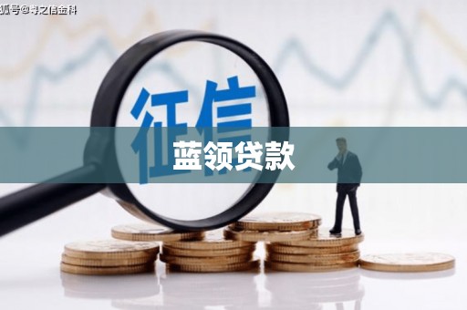 通山蓝领贷款