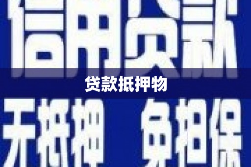 通山贷款抵押物