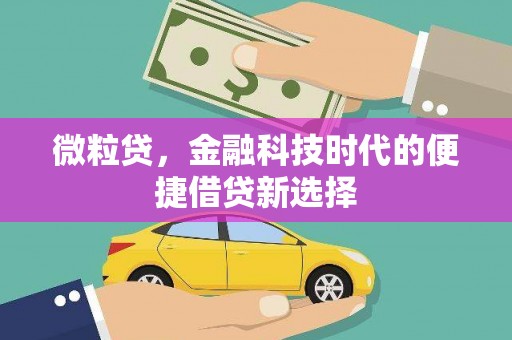 通山微粒贷，金融科技时代的便捷借贷新选择