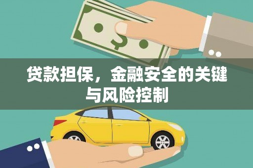 通山贷款担保，金融安全的关键与风险控制
