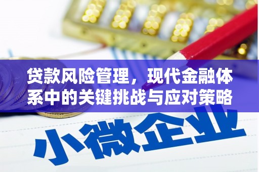 通山贷款风险管理，现代金融体系中的关键挑战与应对策略