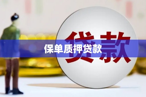 通山保单质押贷款