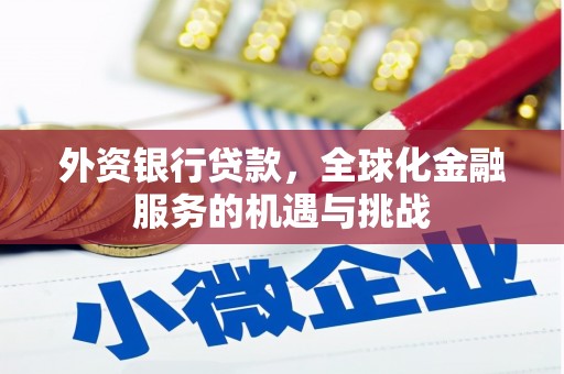 通山外资银行贷款，全球化金融服务的机遇与挑战
