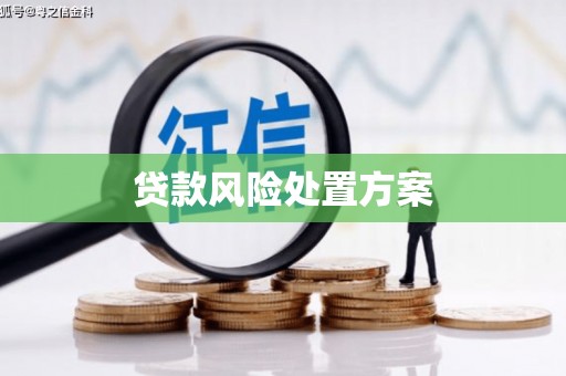 通山贷款风险处置方案
