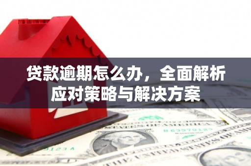 通山贷款逾期怎么办，全面解析应对策略与解决方案