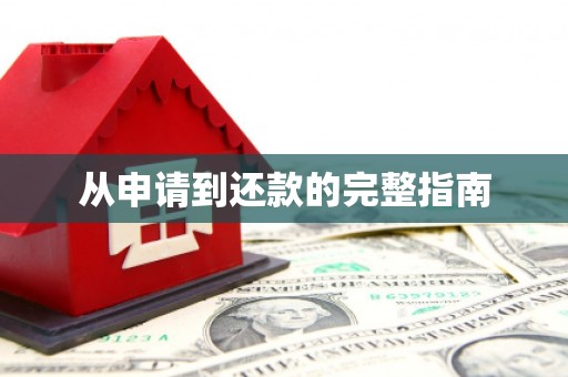 通山从申请到还款的完整指南