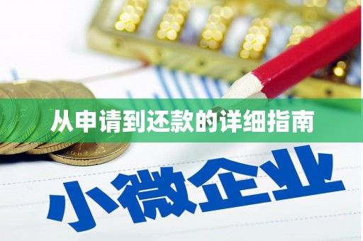 通山从申请到还款的详细指南
