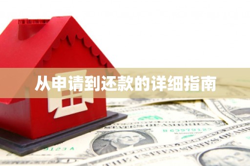 通山从申请到还款的详细指南