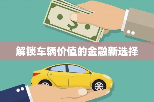 通山解锁车辆价值的金融新选择