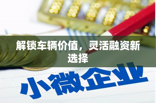 通山解锁车辆价值，灵活融资新选择