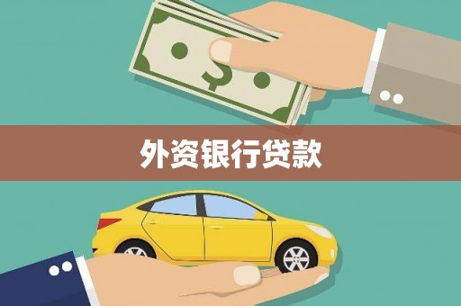 通山外资银行贷款