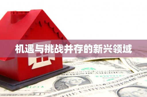 通山机遇与挑战并存的新兴领域