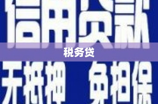 通山税务贷
