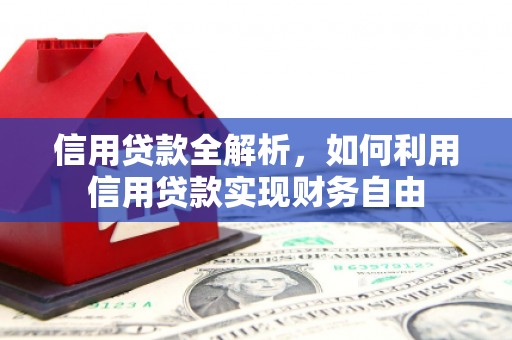 通山信用贷款全解析，如何利用信用贷款实现财务自由