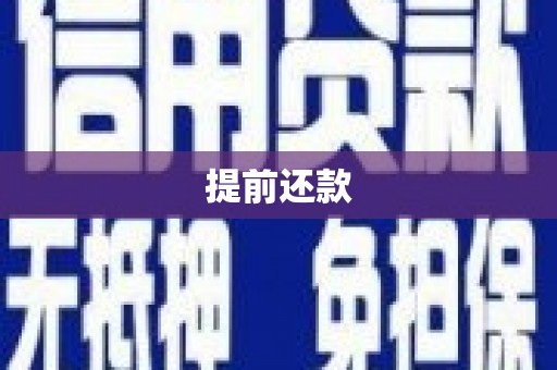 通山提前还款