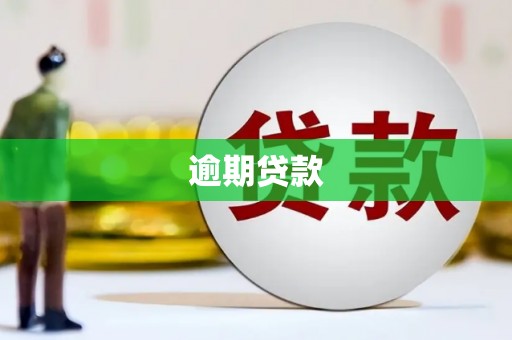 通山逾期贷款