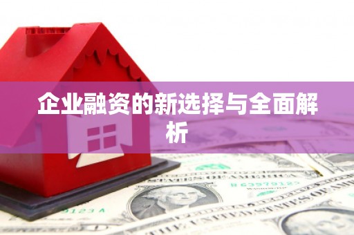 通山企业融资的新选择与全面解析