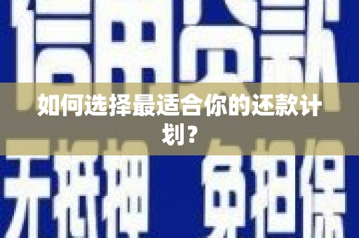 通山如何选择最适合你的还款计划？