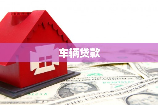 通山车辆贷款