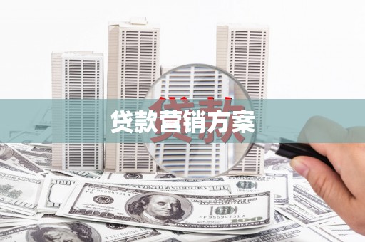 通山贷款营销方案