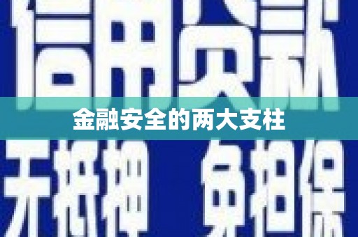 通山金融安全的两大支柱