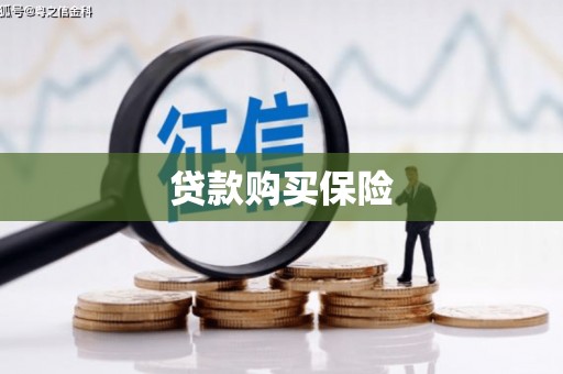 通山贷款购买保险
