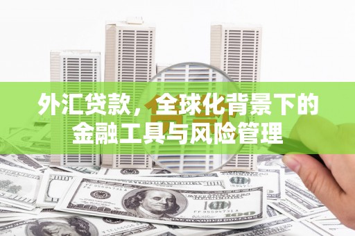 通山外汇贷款，全球化背景下的金融工具与风险管理